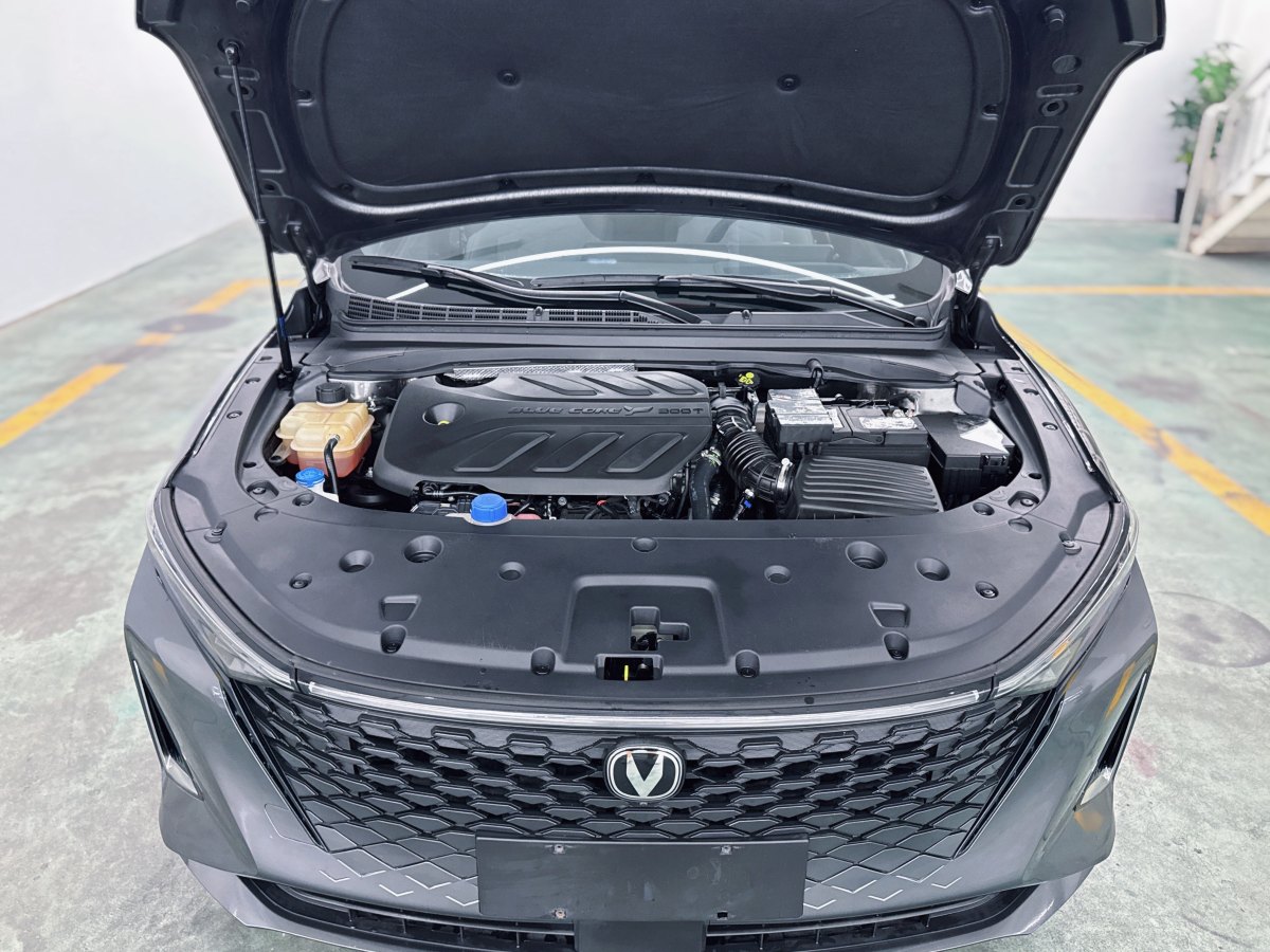 Changan Raeton Plus 2023 car image #12