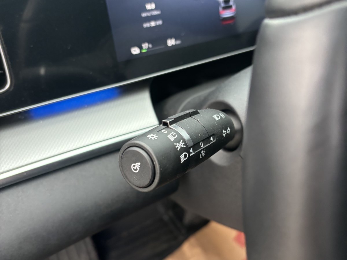 BYD Sea Lion 07 EV 2024 car image #12