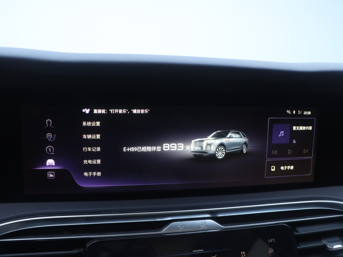 HongQi E-HS9 2023 car image #12