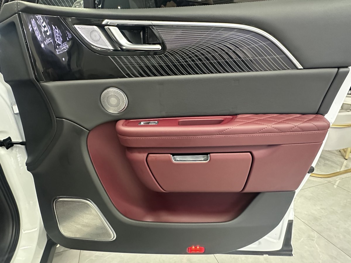 HongQi E-HS9 2021 #12 HongQi E-HS9 2021 car image #12