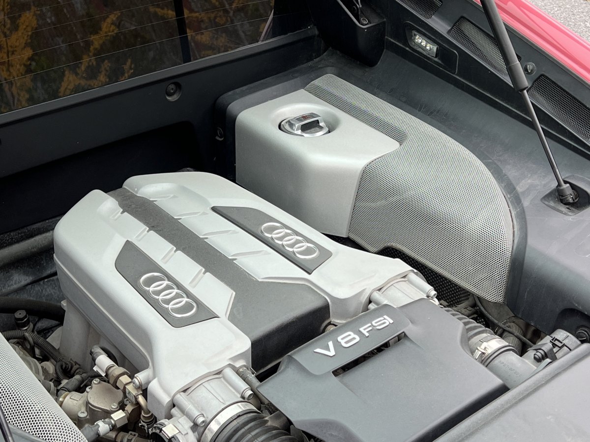 Audi R8 2010 #12 Audi R8 2010 car image #12