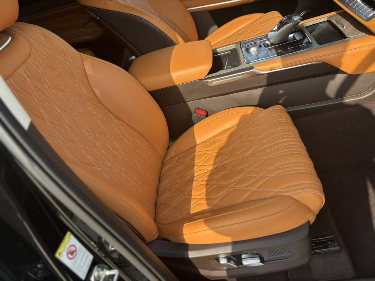 Tank 500 New Energy 2024 car image #12