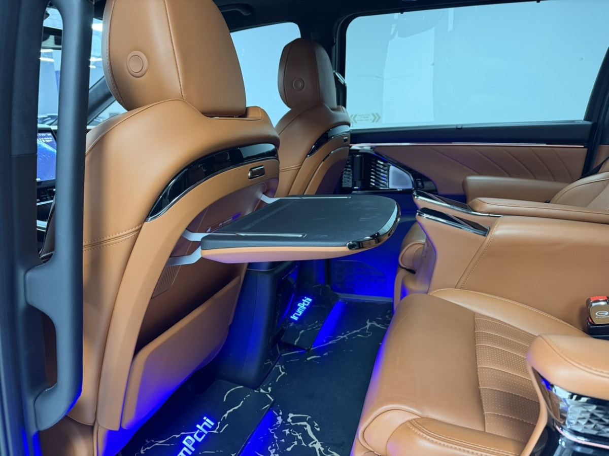 GAC Trumpchi E9 2024 car image #12