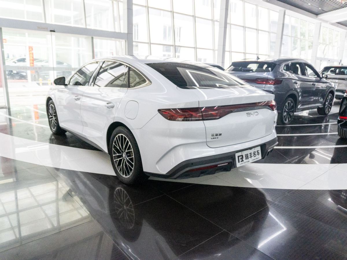 BYD M9 2024 car image #12