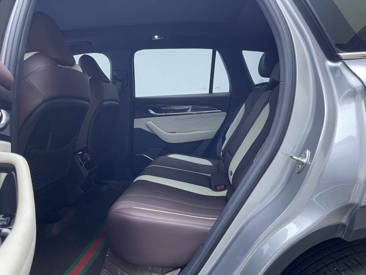 GEELY Tugella 2024 car image #12