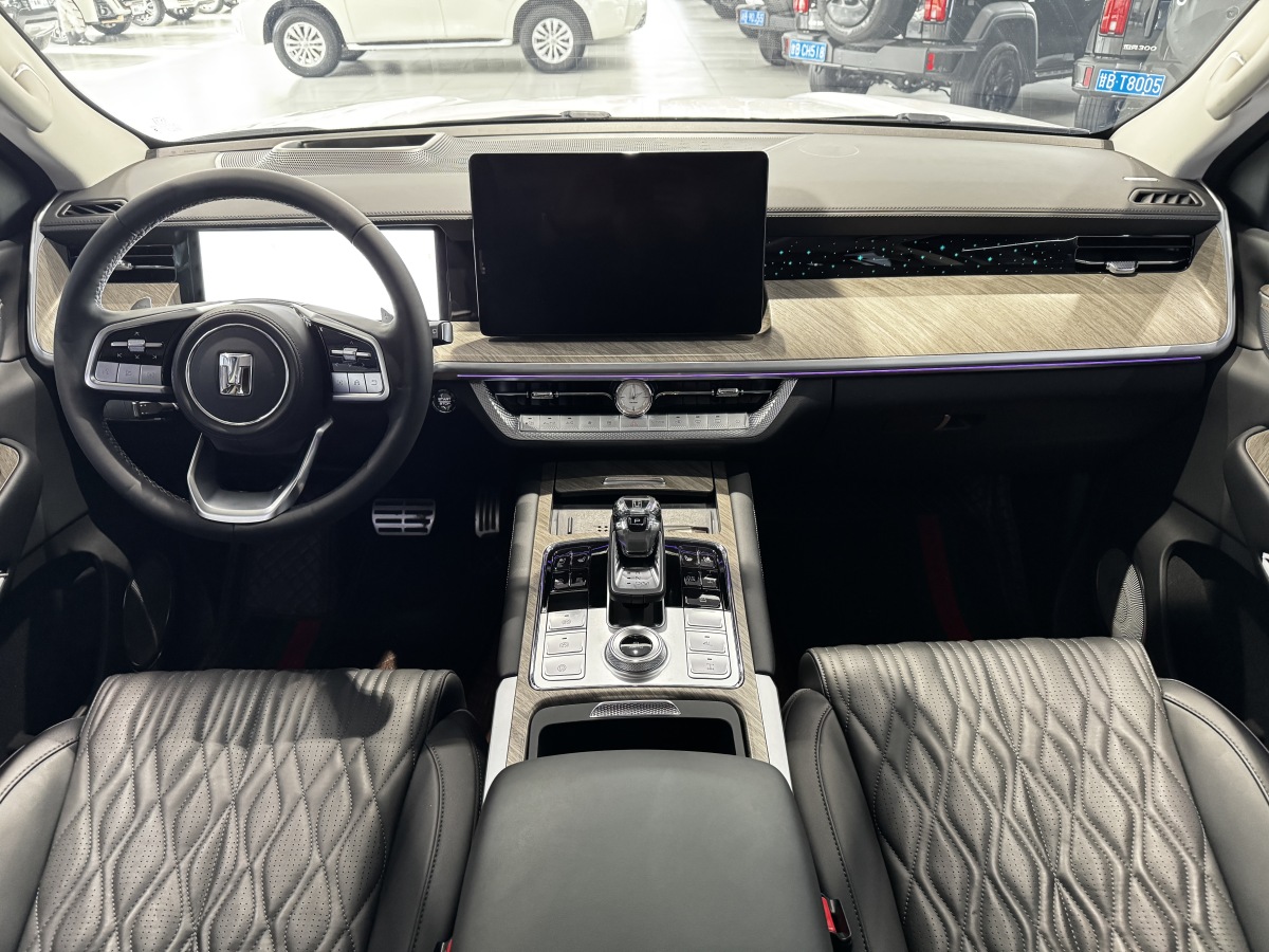 Tank 500 2023 car image #12