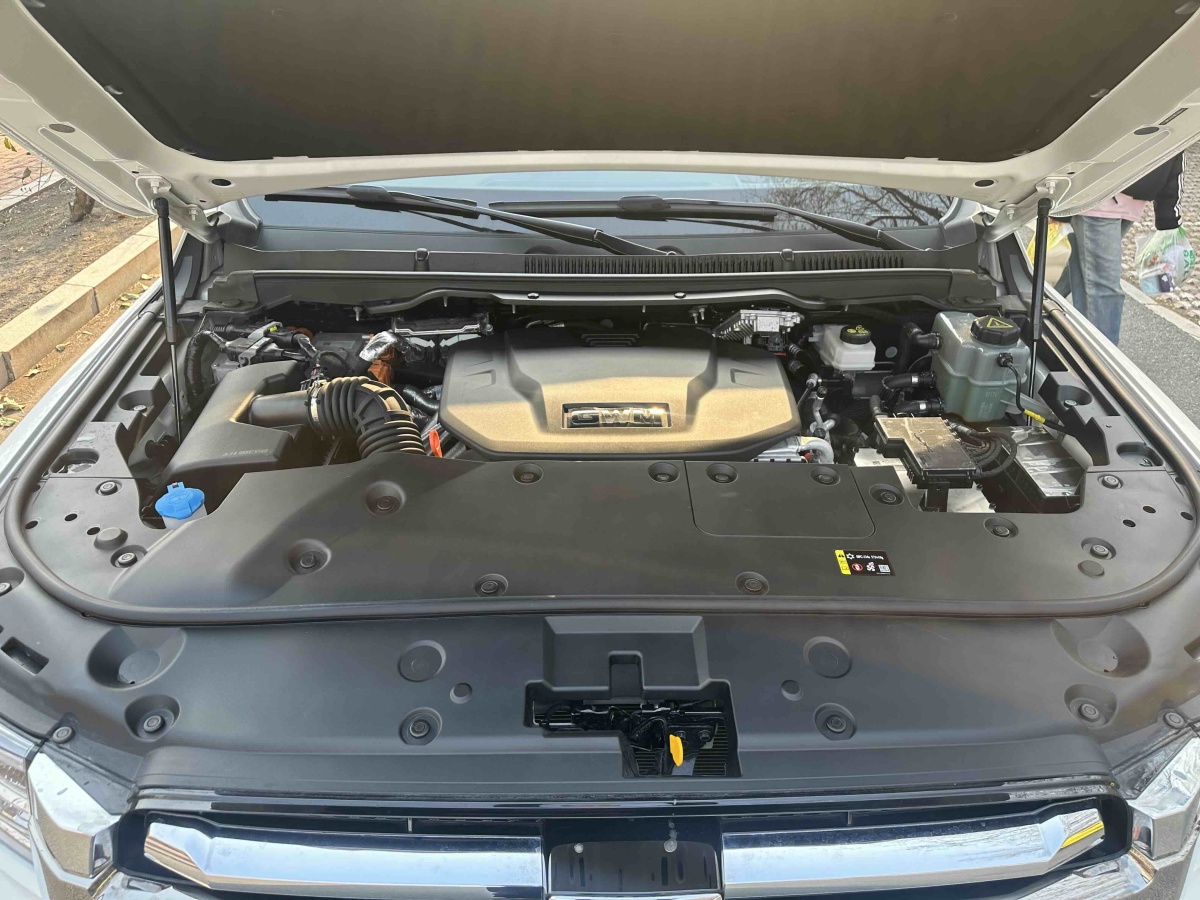 Tank 500 New Energy 2024 car image #12