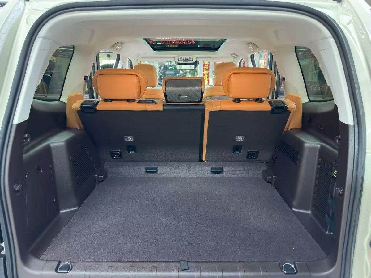 Tank 500 New Energy 2024 car image #12