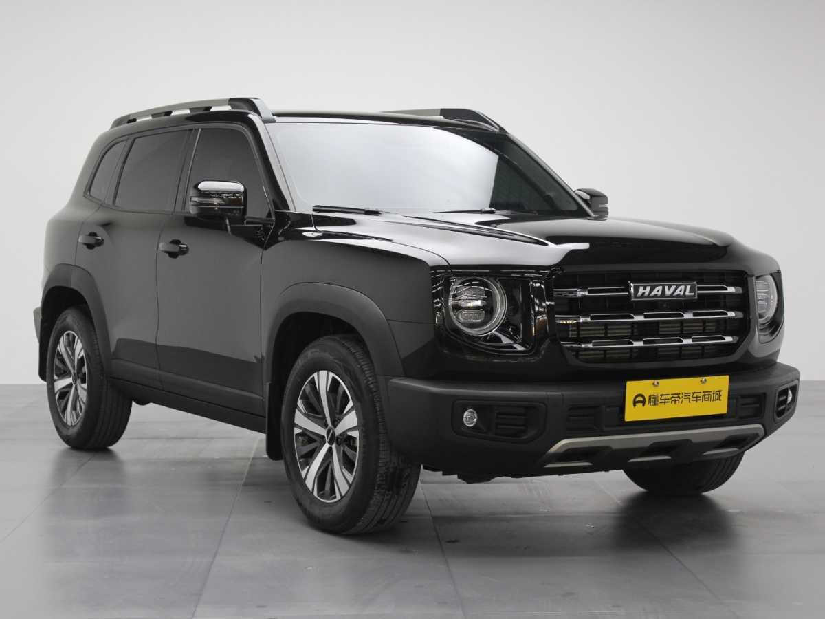 Haval X Dog / Dargo 2021 car image #12