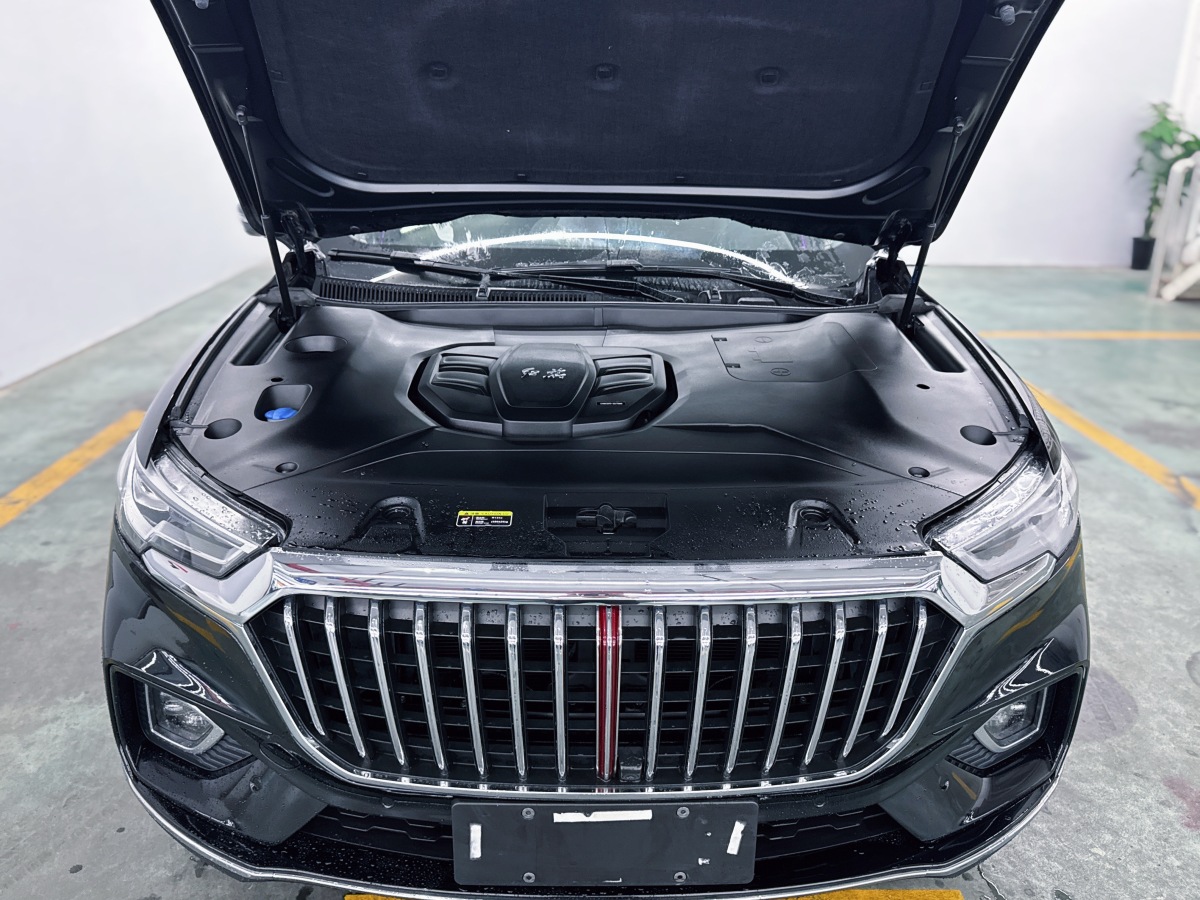 HongQi HS5 2021 car image #12