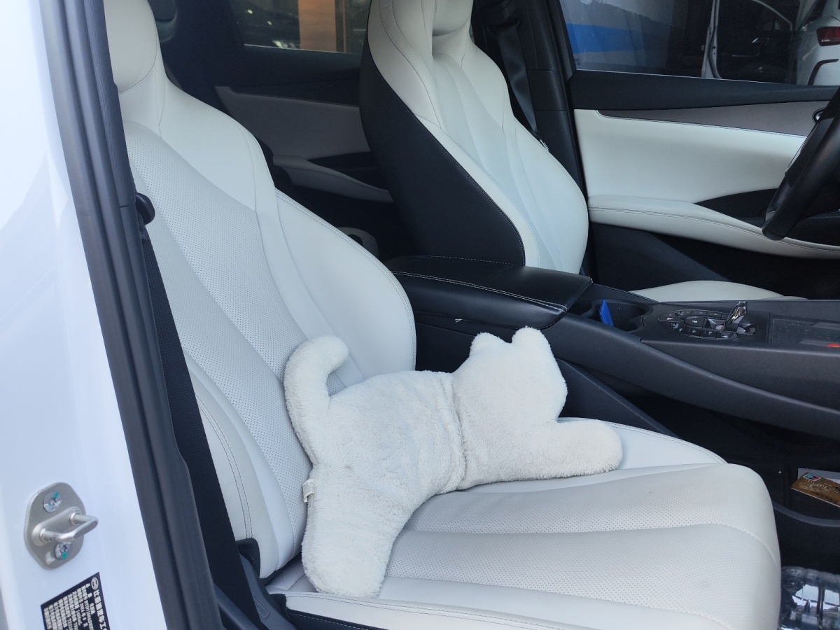 BYD Seal 06 New Energy 2024 car image #12