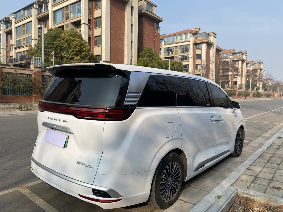 Denza D9 2024 imagen de coche #12