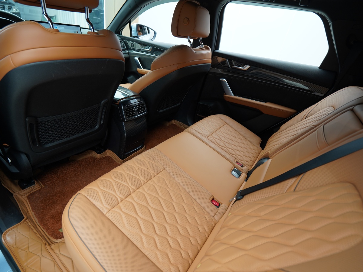 BYD Tang New Energy 2023 car image #12