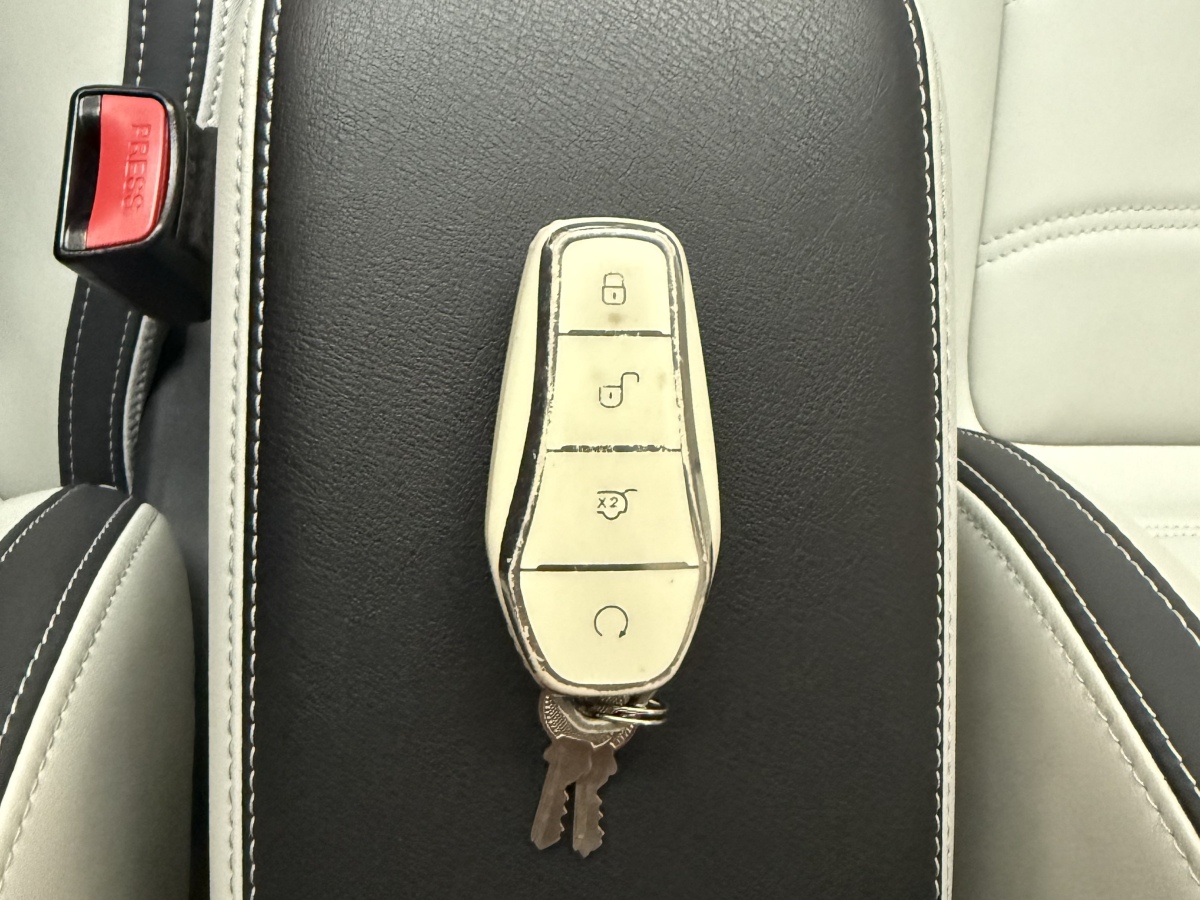 BYD Yuan Pro 2022 #12 BYD Yuan Pro 2022 car image #12