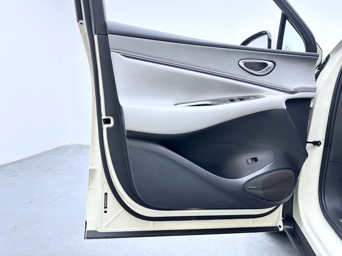 BYD Sea Lion 06 New Energy 2025 car image #12