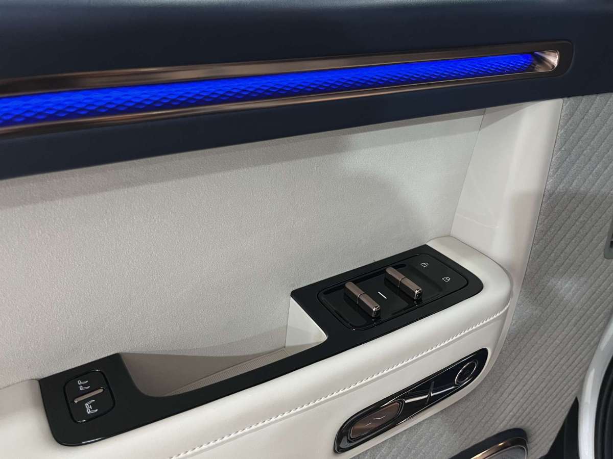 极氪 极氪MIX 2025 汽车图片 #12