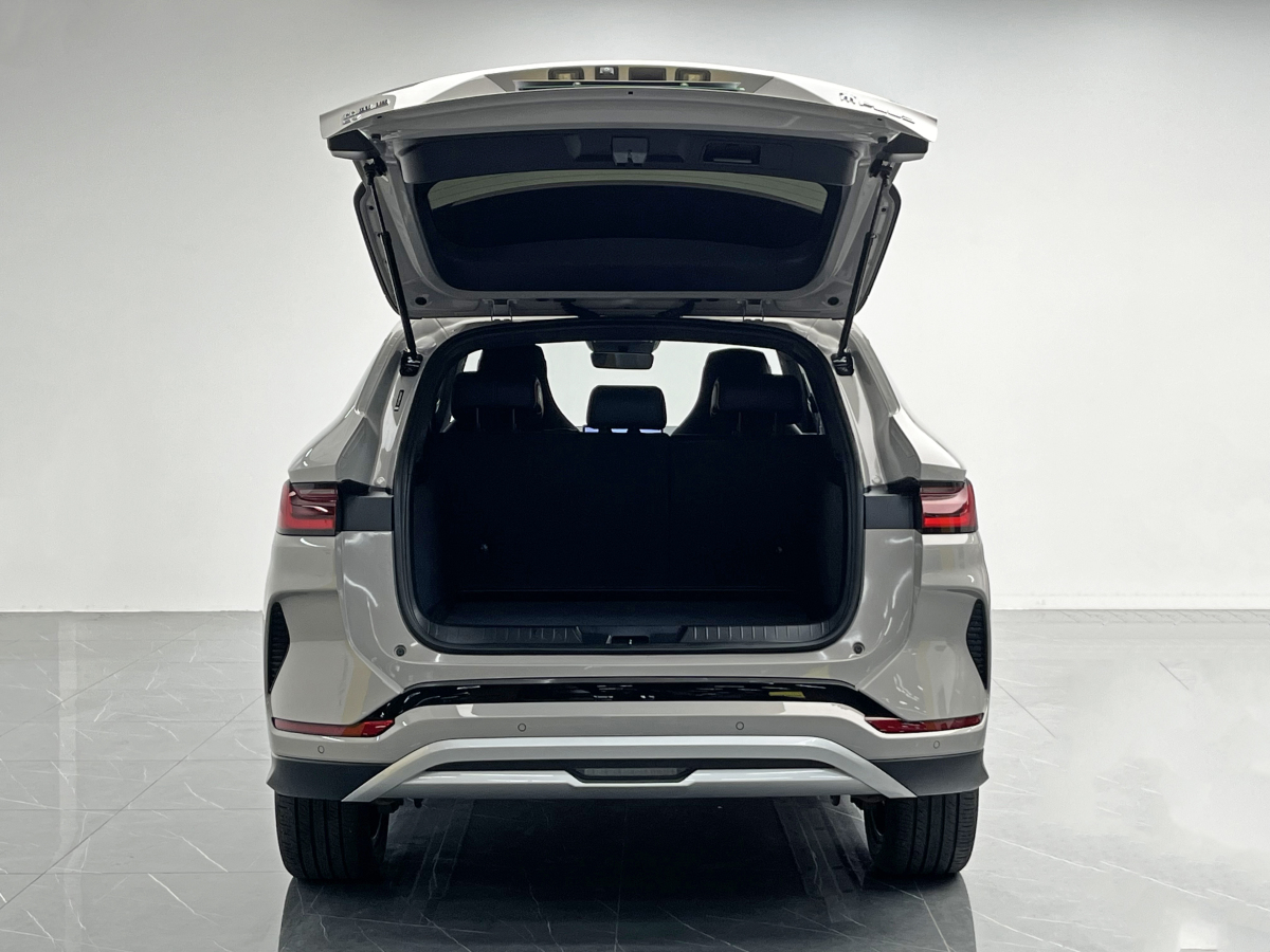 BYD Song Plus New Energy 2024 imagem de carro #12