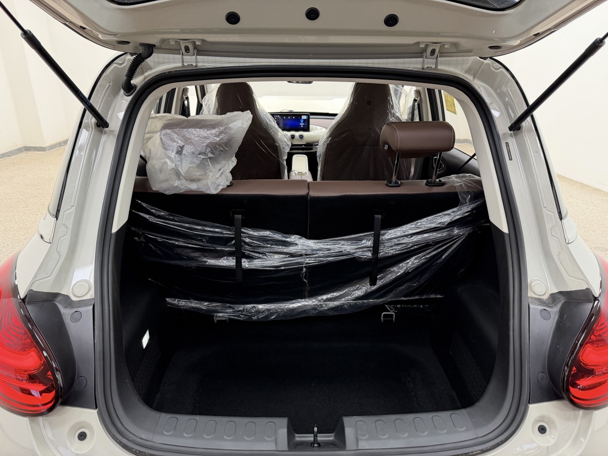 五菱汽车 五菱缤果 2025 汽车图片 #12