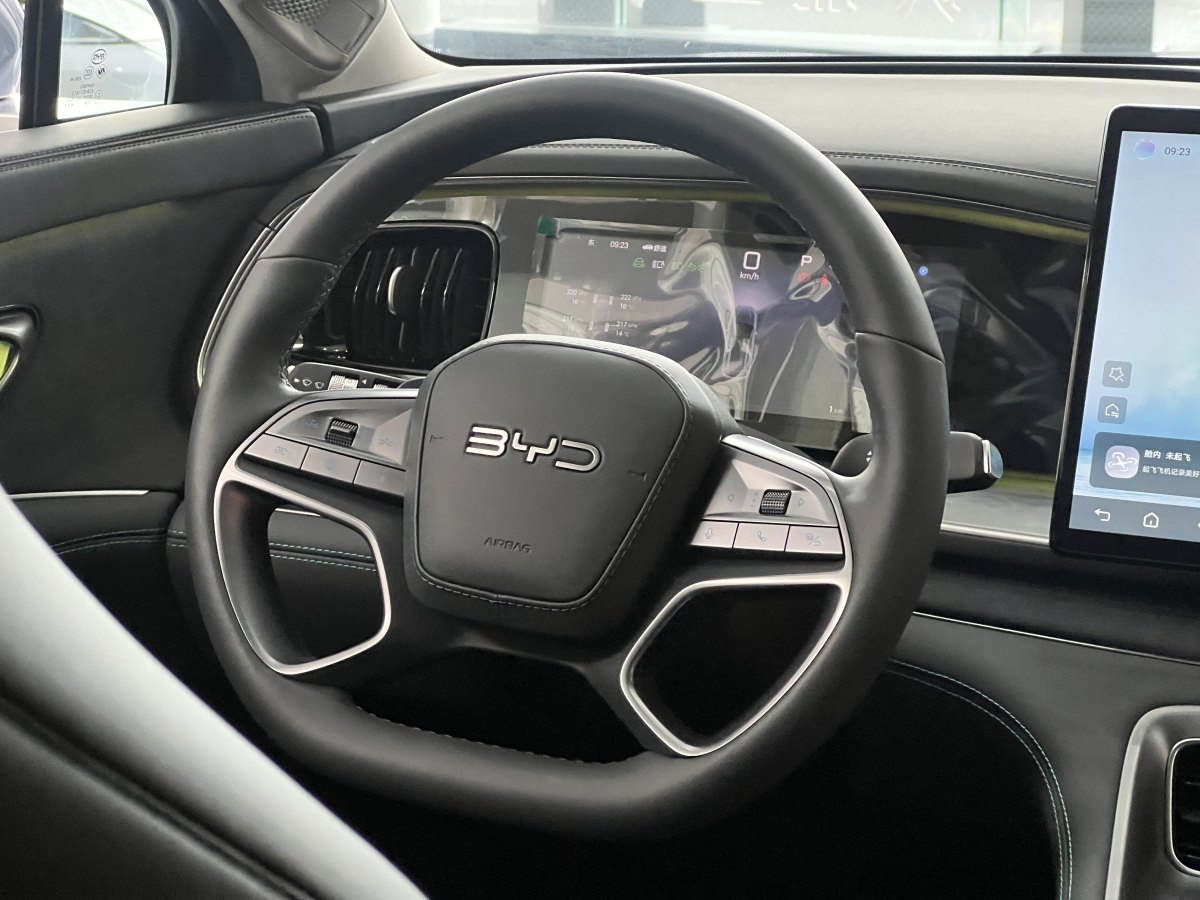 BYD Sea Lion 07 DM-i 2025 car image #12