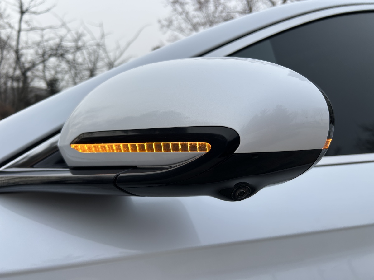 BYD Qin L 2024 car image #12