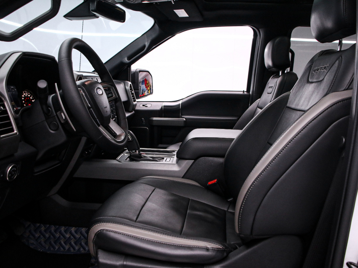 Ford F-150 Raptor 2019 car image #12