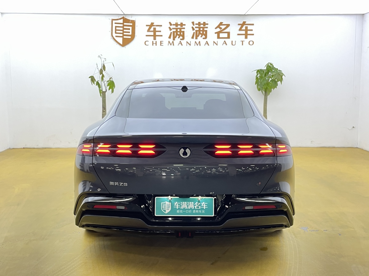 Denza Z9 2024 car image #12