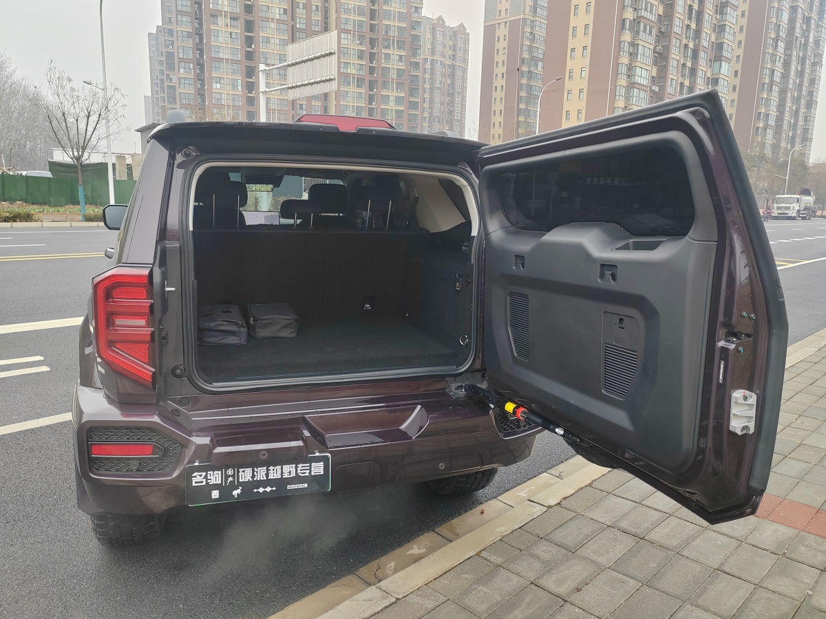 Tank 400 New Energy 2025 car image #12