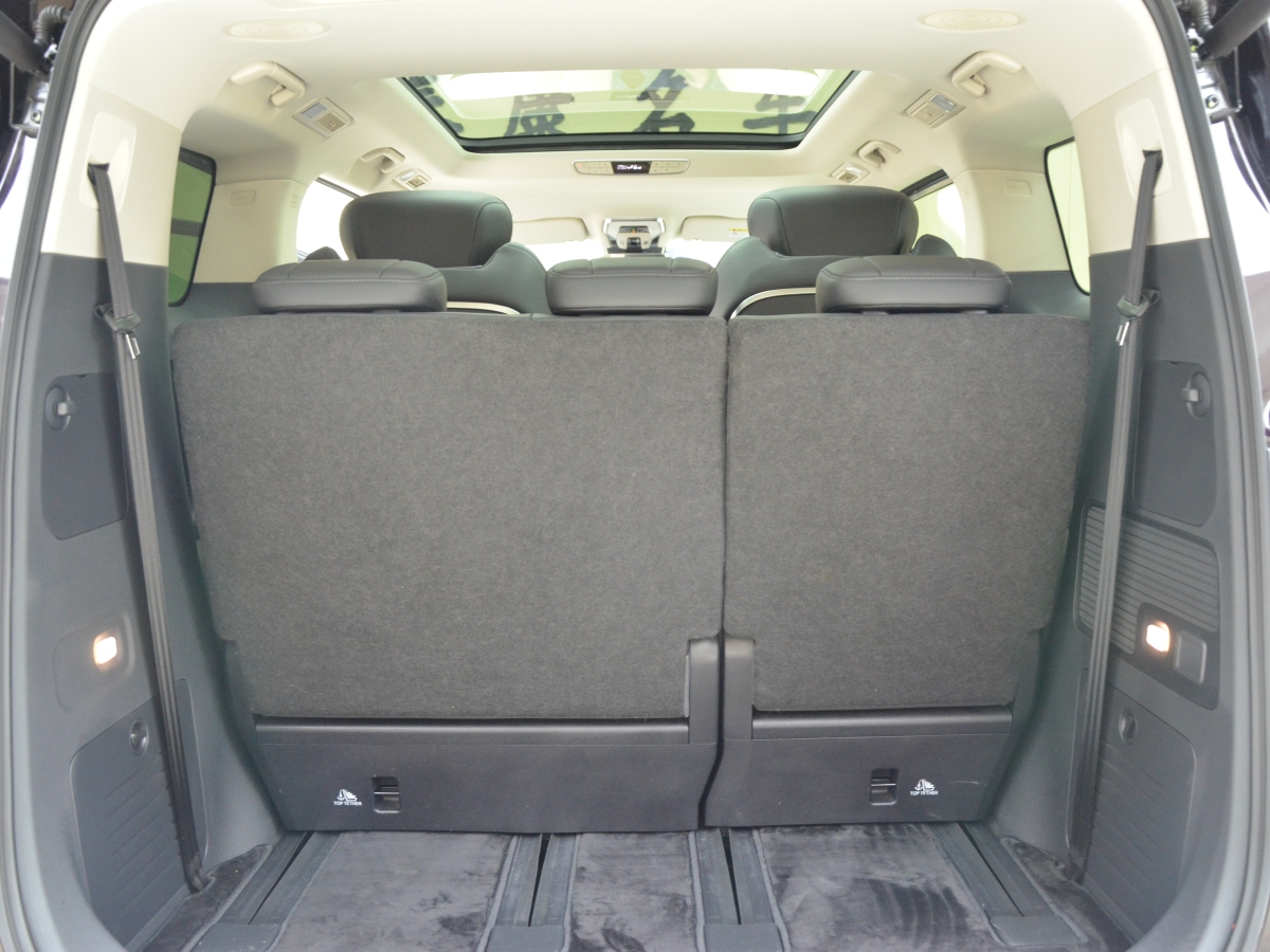 HongQi HQ9 PHEV 2024 #12 HongQi HQ9 PHEV 2024 car image #12