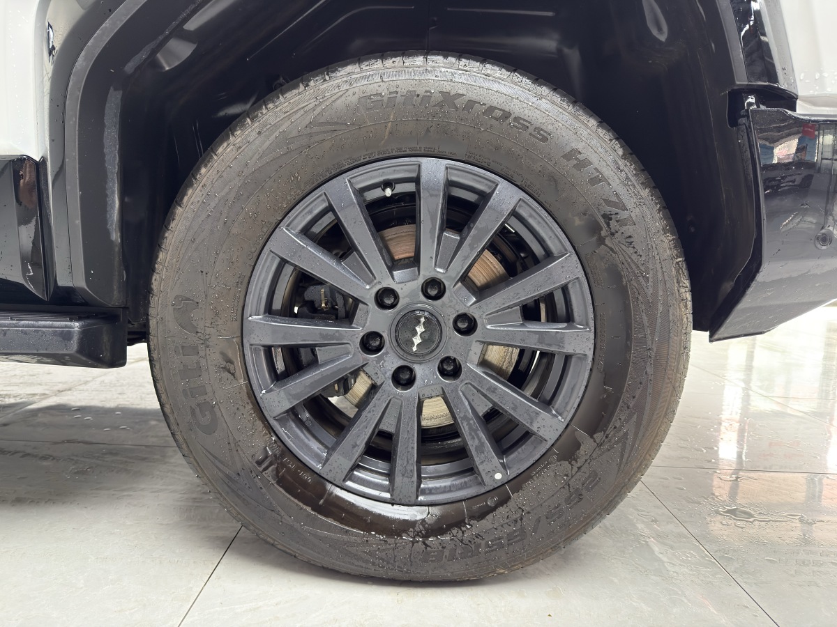 FangChengBao Leopard 5 2025 car image #12