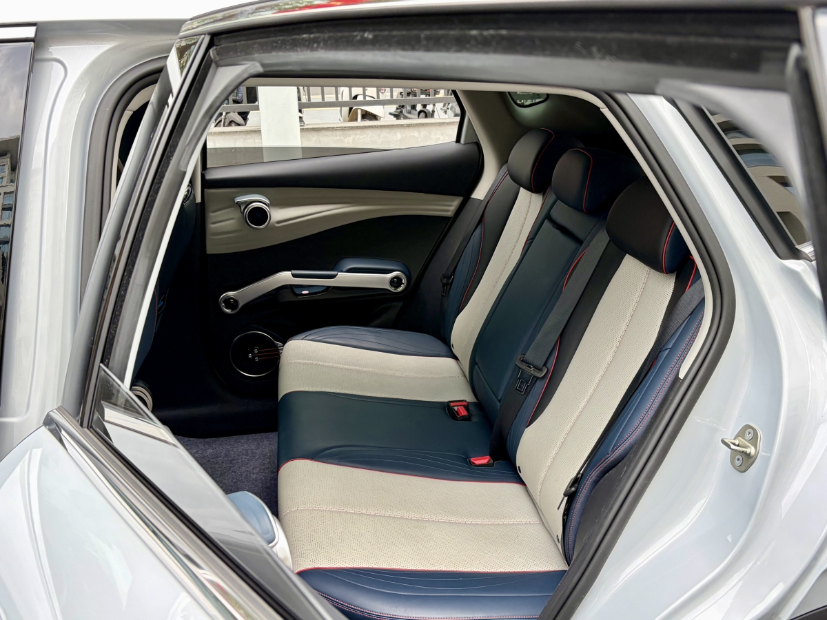 BYD Yuan Plus 2022 car image #12