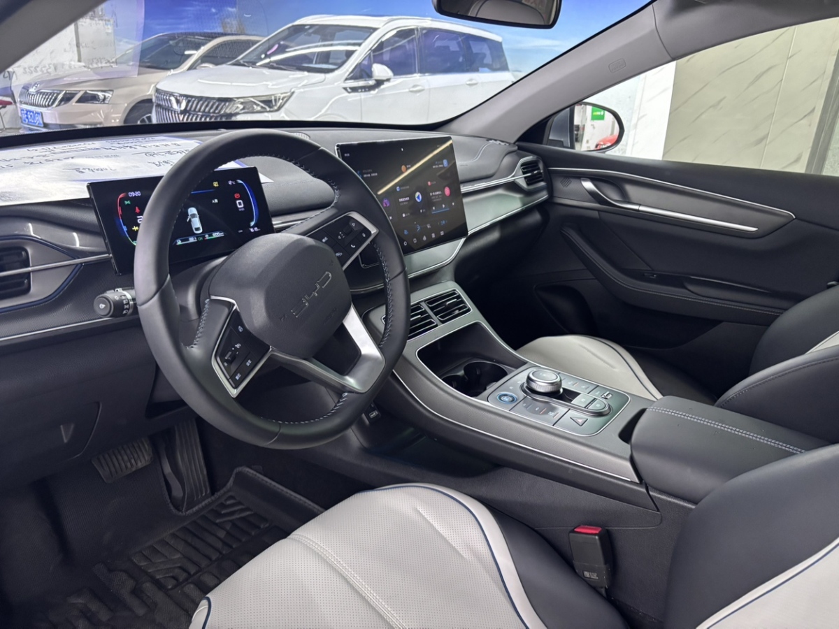 BYD Destroyer 05 2025 car image #12