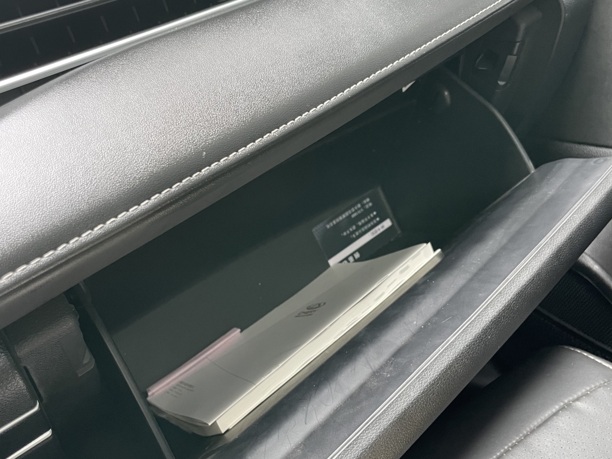 Chery Tiggo 7 Plus 2021 car image #12