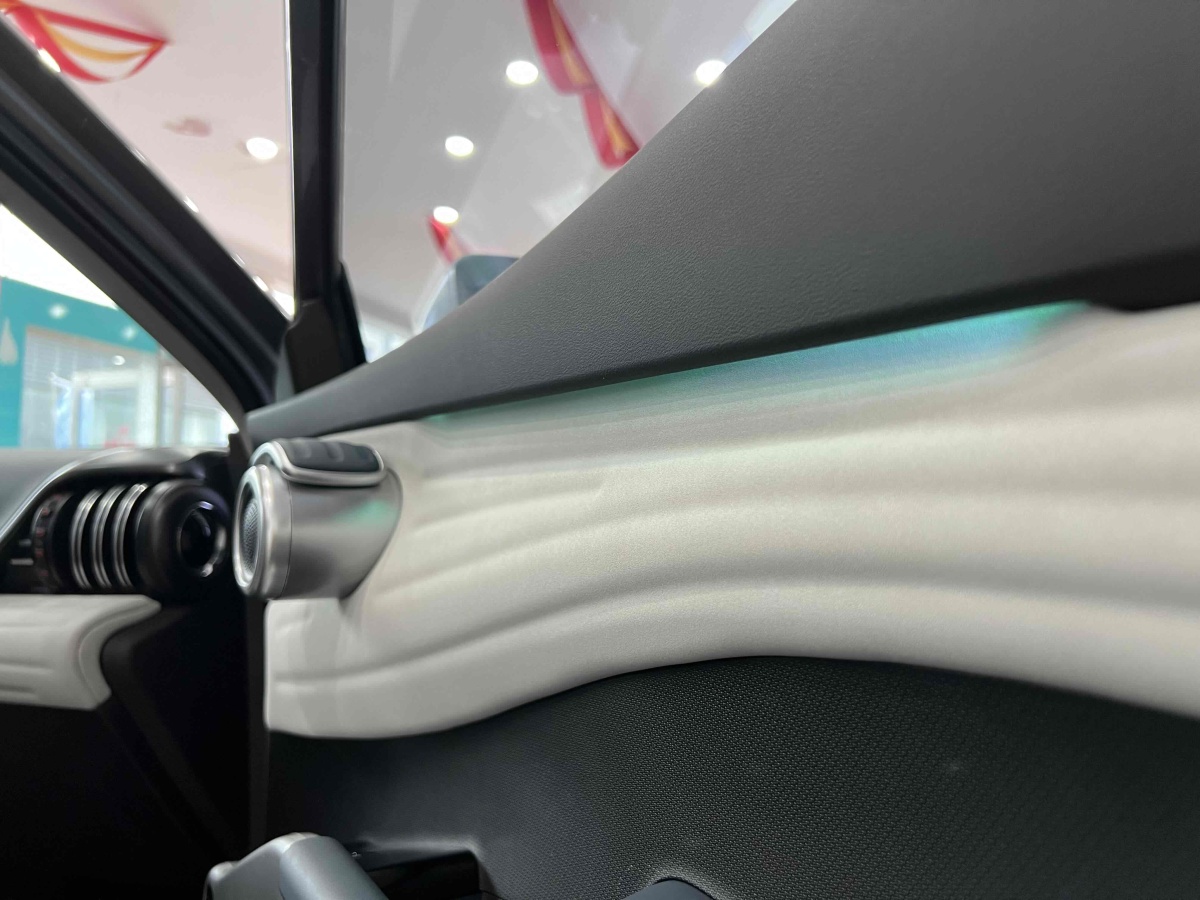 BYD Yuan Plus 2023 car image #12