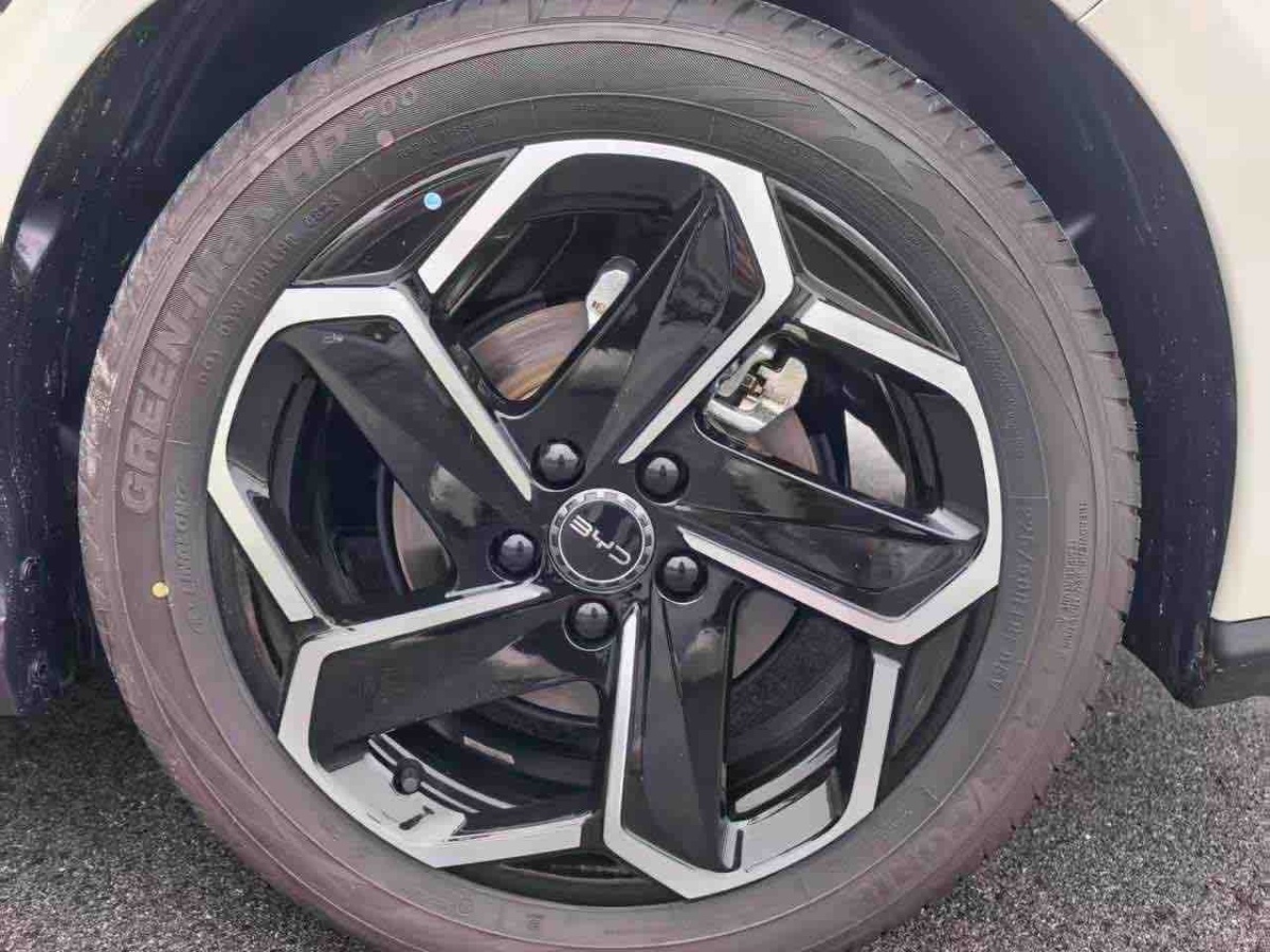 BYD Seal 06 New Energy 2025 car image #12