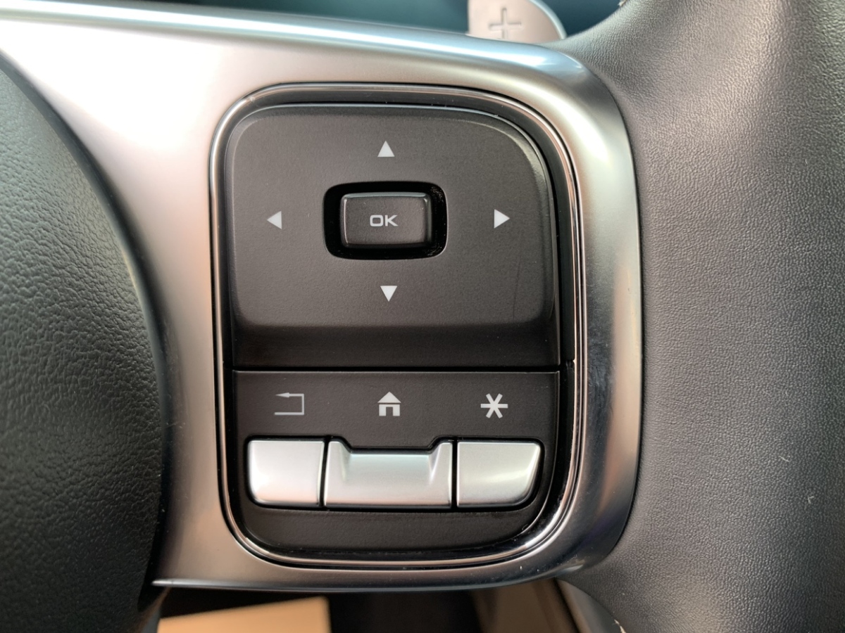 Tank 300 2021 car image #12