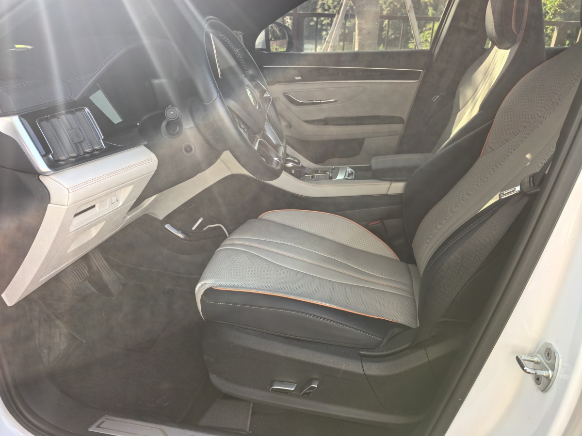 BYD Song Plus New Energy 2021 car image #12