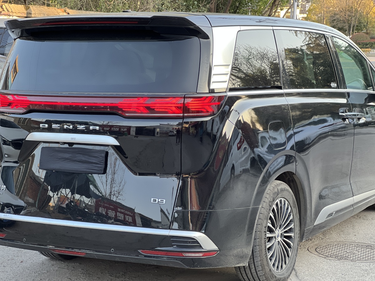 Denza D9 2023 image de voiture #12