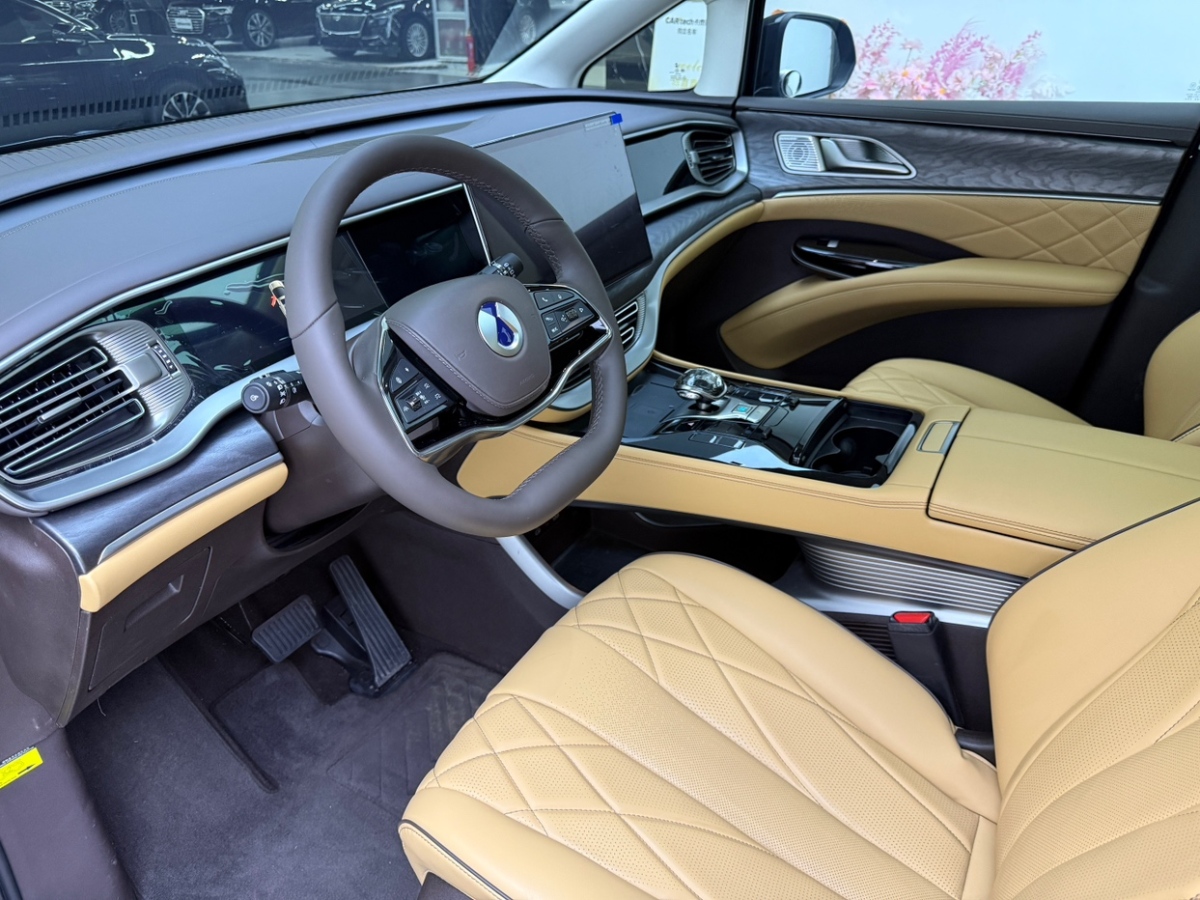 Denza D9 2024 immagine di auto #12