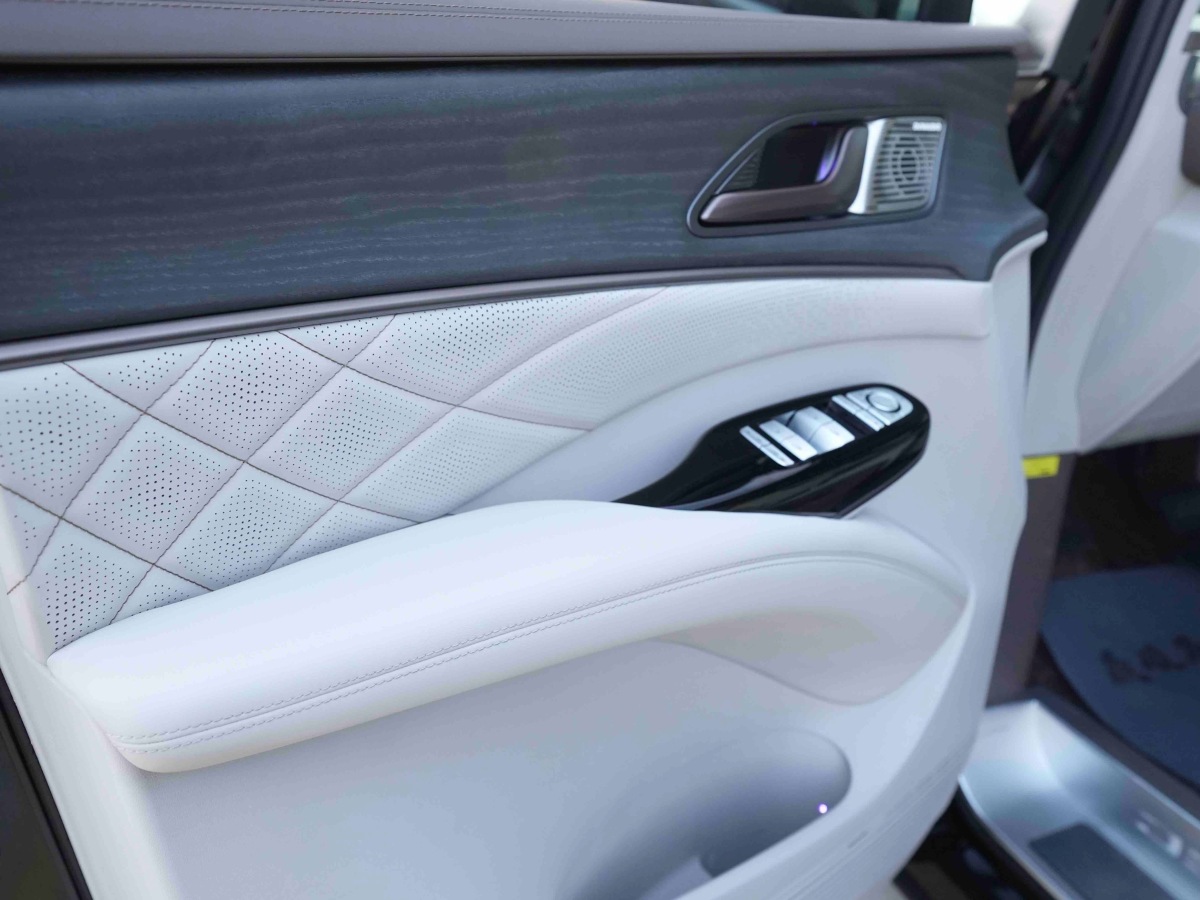 Denza D9 2023 imagem de carro #12