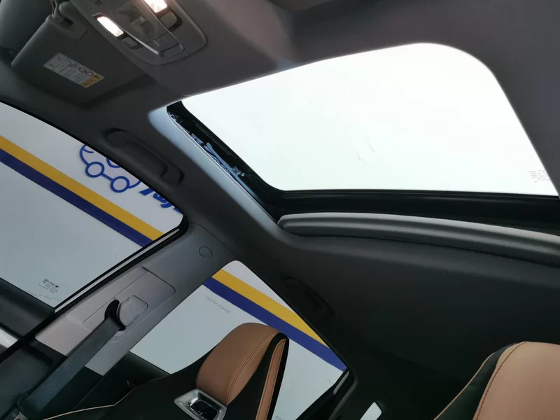 GEELY OkavangoPRO 2024 car image #12