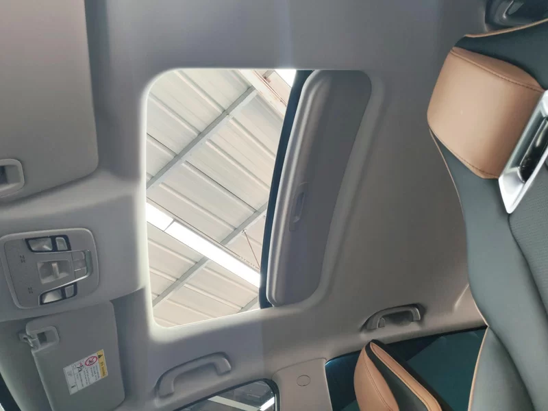 GEELY OkavangoPRO 2024 car image #12