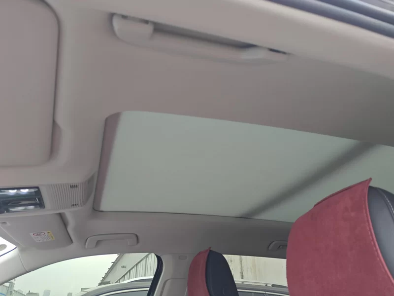 Volkswagen Tavendor 2023 car image #12