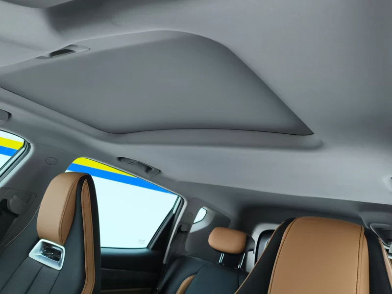 GEELY OkavangoPRO 2025 car image #12