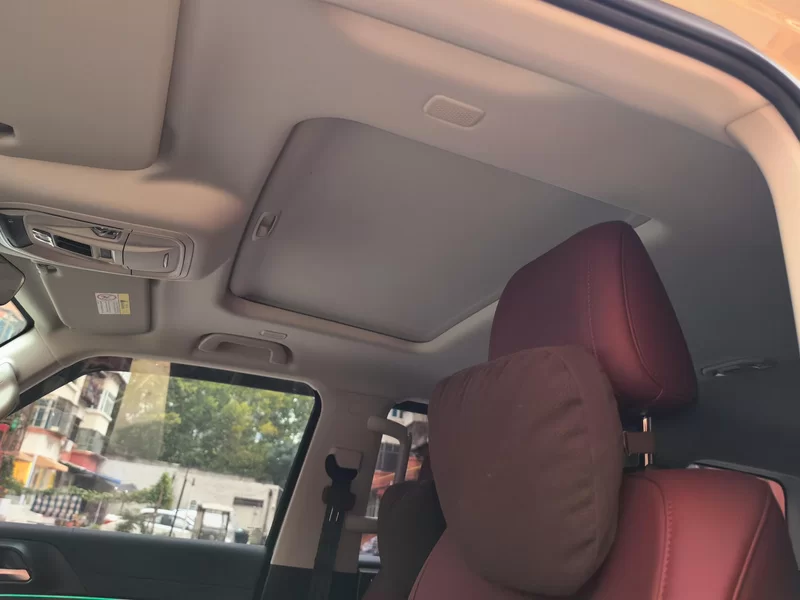 Tank 300 New Energy 2025 car image #12