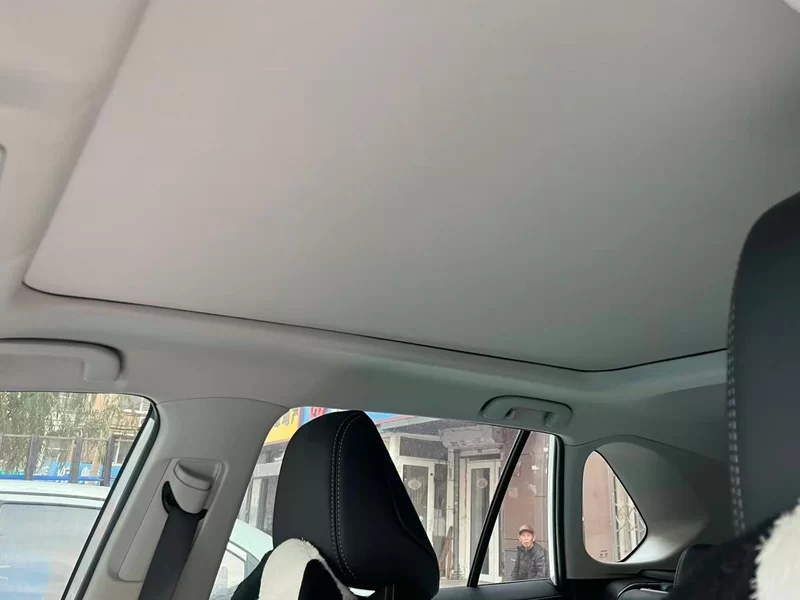 Toyota Wildlander 2023 imagem de carro #12