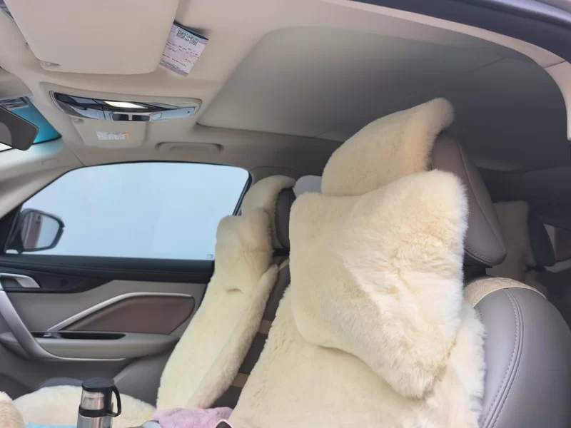 GEELY JiaJi 2019 #12 GEELY JiaJi 2019 car image #12