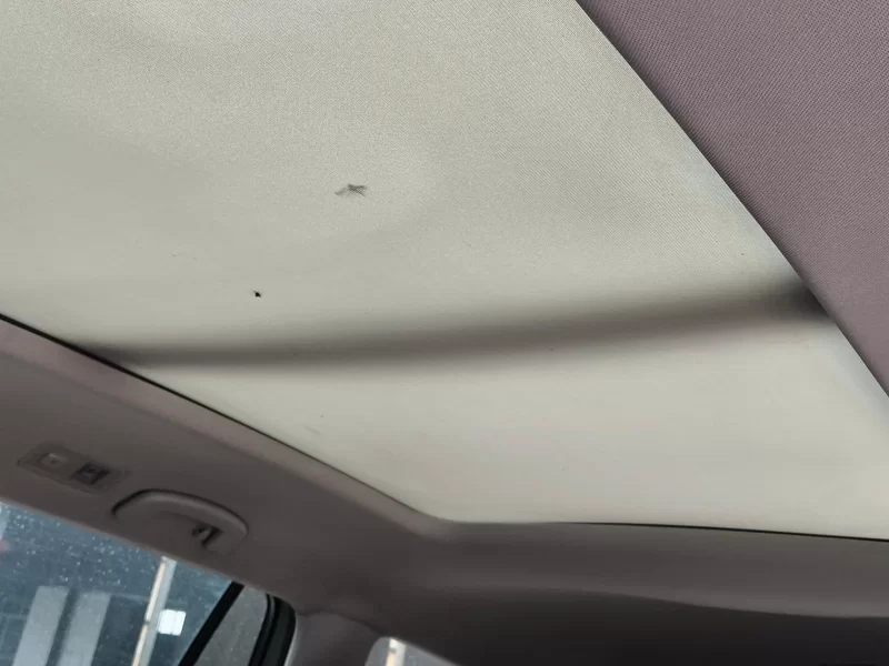 Volkswagen Teramont 2018 #12 Volkswagen Teramont 2018 immagine di auto #12