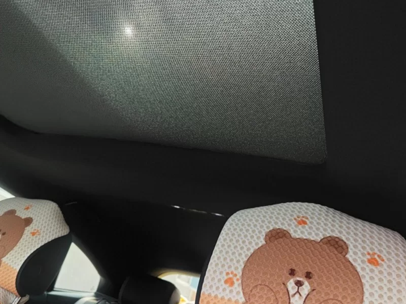 大众 一汽-大众CC 2023 #12 大众 一汽-大众CC 2023 汽车图片 #12