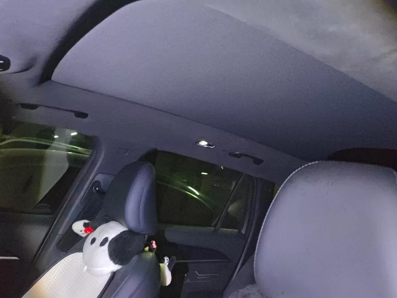 GEELY Monjaro MHEV 2024 car image #12