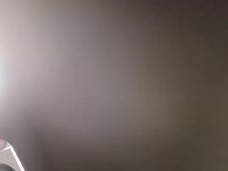 Skoda Rapid 2019 car image #12